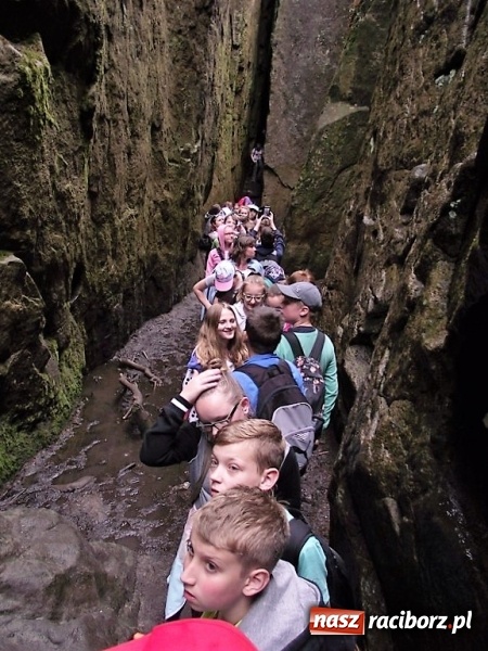 Zdjęcie w galerii na portalu naszraciborz.pl: Uczniom Szkoły Podstawowej nr 4 niestraszne szczyty górskie   wiadomości z regionu