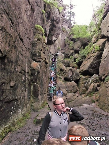 Zdjęcie w galerii na portalu naszraciborz.pl: Uczniom Szkoły Podstawowej nr 4 niestraszne szczyty górskie   wiadomości z regionu