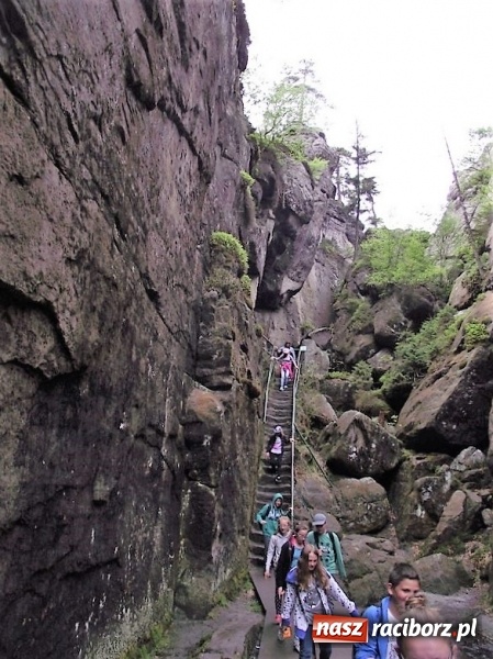 Zdjęcie w galerii na portalu naszraciborz.pl: Uczniom Szkoły Podstawowej nr 4 niestraszne szczyty górskie   wiadomości z regionu