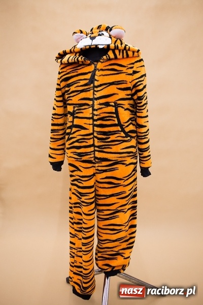 Zdjęcie w galerii na portalu naszraciborz.pl: Nocne szperanie w Rabanie - sobota 11.06 godz. 20.00  wiadomości z regionu