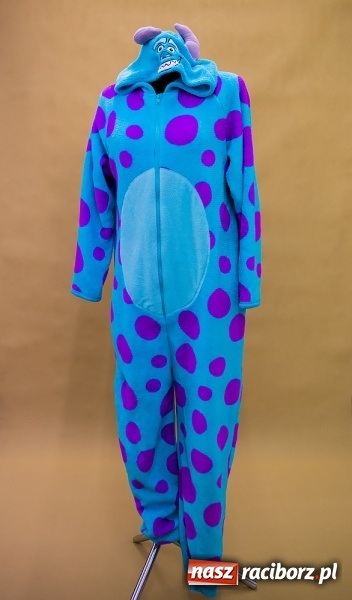 Zdjęcie w galerii na portalu naszraciborz.pl: Nocne szperanie w Rabanie - sobota 11.06 godz. 20.00  wiadomości z regionu