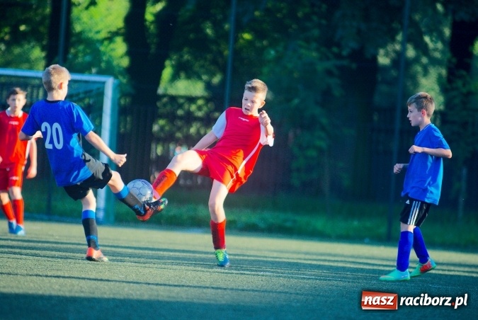 Zdjęcie w galerii na portalu naszraciborz.pl: Emocjonujące spotkanie orlików. Gol Krzanowic w końcówce na miarę remisu wiadomości z regionu