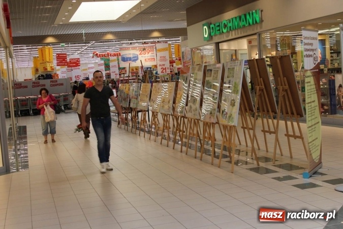 Zdjęcie w galerii na portalu naszraciborz.pl: Uczniowie CKZiU nr 1 pokazują swoje prace w Auchan  wiadomości z regionu