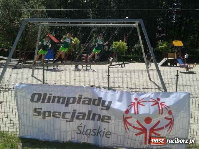 Zdjęcie w galerii na portalu naszraciborz.pl: Sukcesy reprezentantów klubu Animusz w biegach przełajowych wiadomości z regionu