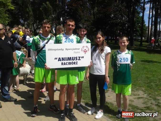Zdjęcie w galerii na portalu naszraciborz.pl: Sukcesy reprezentantów klubu Animusz w biegach przełajowych wiadomości z regionu