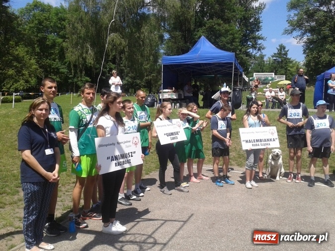 Zdjęcie w galerii na portalu naszraciborz.pl: Sukcesy reprezentantów klubu Animusz w biegach przełajowych wiadomości z regionu