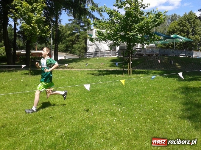 Zdjęcie w galerii na portalu naszraciborz.pl: Sukcesy reprezentantów klubu Animusz w biegach przełajowych wiadomości z regionu