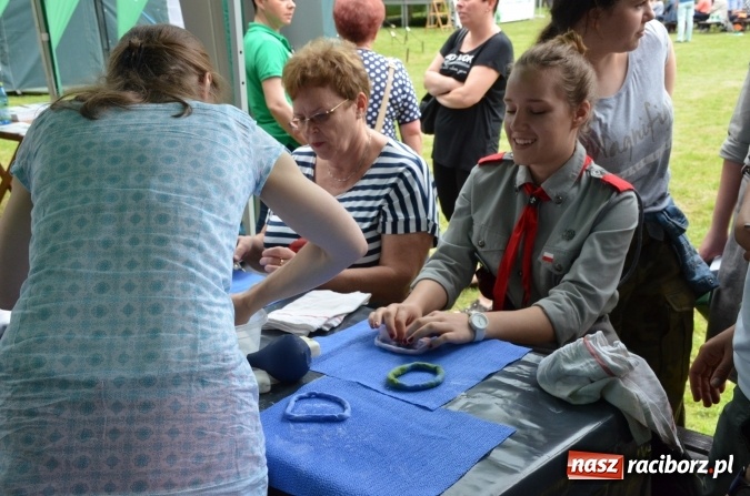 Zdjęcie w galerii na portalu naszraciborz.pl: Trzynastu laureatów konkursu EkoAktywni 2016 FOTO I WIDEO  wiadomości z regionu