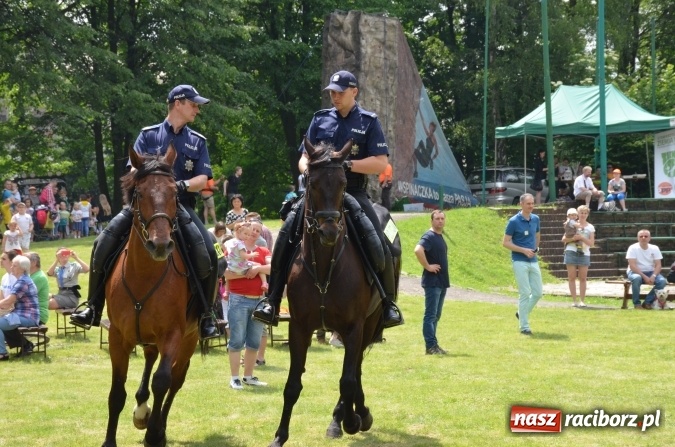 Zdjęcie w galerii na portalu naszraciborz.pl: Trzynastu laureatów konkursu EkoAktywni 2016 FOTO I WIDEO  wiadomości z regionu