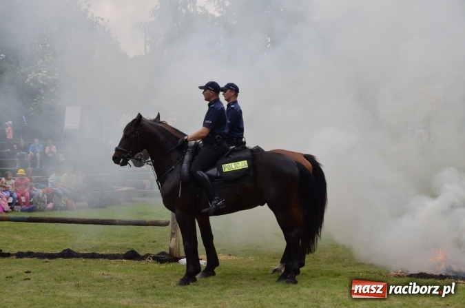 Zdjęcie w galerii na portalu naszraciborz.pl: Trzynastu laureatów konkursu EkoAktywni 2016 FOTO I WIDEO  wiadomości z regionu