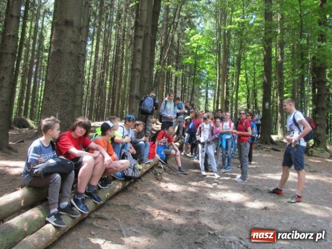 Zdjęcie w galerii na portalu naszraciborz.pl: Na Światowy Dzień Ochrony Środowiska Naturalnego najlepszy kontakt z górską przyrodą!  wiadomości z regionu