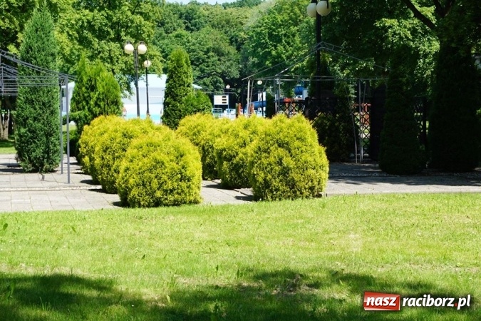 Zdjęcie w galerii na portalu naszraciborz.pl: W sobotę rusza świetlica na Oborze  wiadomości z regionu