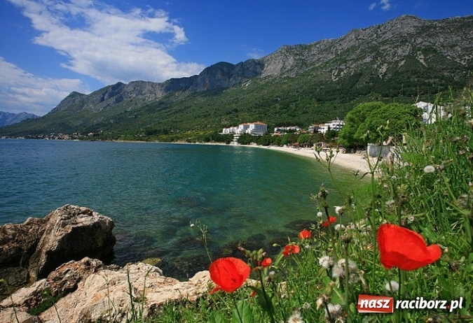 Zdjęcie w galerii na portalu naszraciborz.pl: Raciborzanie wybierają Chorwację wiadomości z regionu
