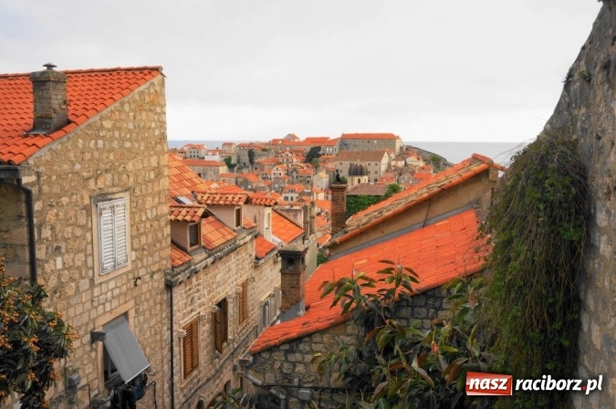 Zdjęcie w galerii na portalu naszraciborz.pl: Raciborzanie wybierają Chorwację wiadomości z regionu