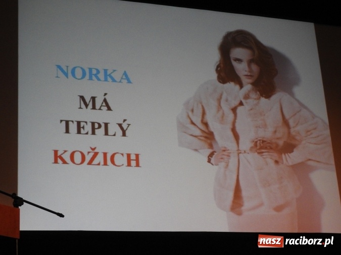 Zdjęcie w galerii na portalu naszraciborz.pl: Dni Czeskie z okazji 10-lecia istnienia filologii czeskiej na PWSZ w Raciborzu za nami wiadomości z regionu