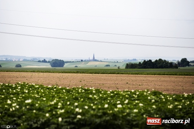Zdjęcie w galerii na portalu naszraciborz.pl: X Jubileuszowy Półmaraton Kietrz - Třebom - Gródczanki - Pietrowice Wielkie wiadomości z regionu