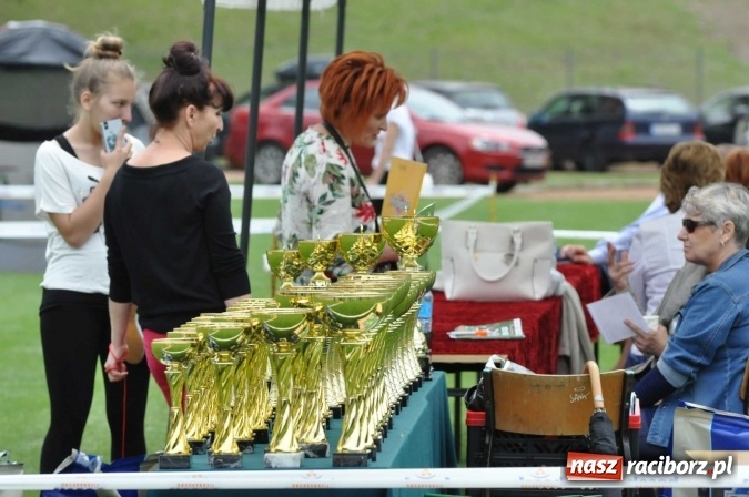 Zdjęcie w galerii na portalu naszraciborz.pl: XXI Krajowa Wystawa Psów Rasowych w Raciborzu wiadomości z regionu