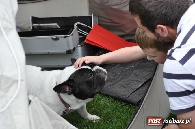 Zdjęcie w galerii na portalu naszraciborz.pl: XXI Krajowa Wystawa Psów Rasowych w Raciborzu wiadomości z regionu
