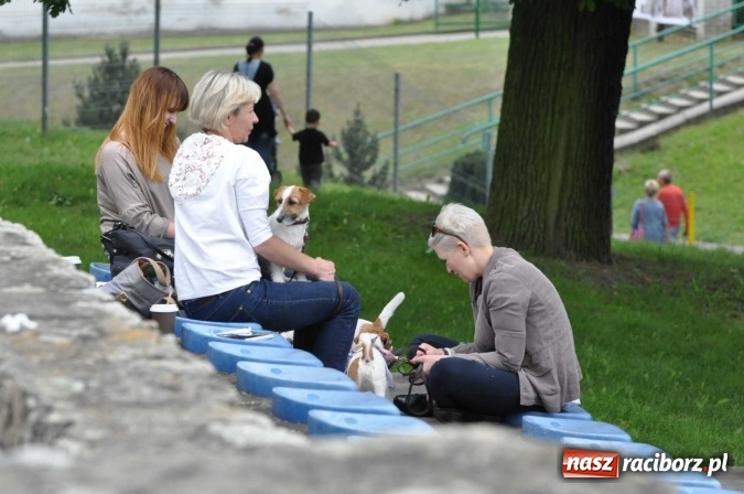 Zdjęcie w galerii na portalu naszraciborz.pl: XXI Krajowa Wystawa Psów Rasowych w Raciborzu wiadomości z regionu