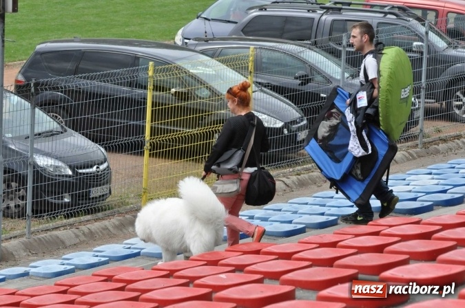 Zdjęcie w galerii na portalu naszraciborz.pl: XXI Krajowa Wystawa Psów Rasowych w Raciborzu wiadomości z regionu