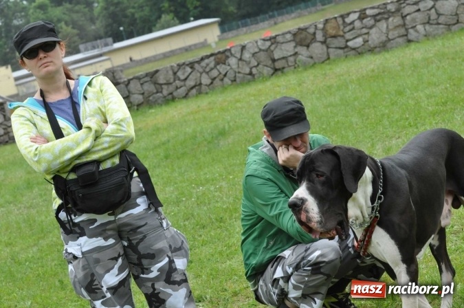 Zdjęcie w galerii na portalu naszraciborz.pl: XXI Krajowa Wystawa Psów Rasowych w Raciborzu wiadomości z regionu