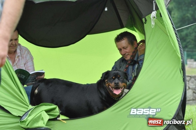 Zdjęcie w galerii na portalu naszraciborz.pl: XXI Krajowa Wystawa Psów Rasowych w Raciborzu wiadomości z regionu