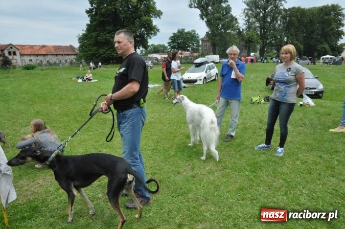 Zdjęcie w galerii na portalu naszraciborz.pl: XXI Krajowa Wystawa Psów Rasowych w Raciborzu wiadomości z regionu