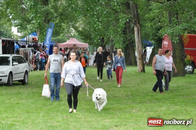 Zdjęcie w galerii na portalu naszraciborz.pl: XXI Krajowa Wystawa Psów Rasowych w Raciborzu wiadomości z regionu