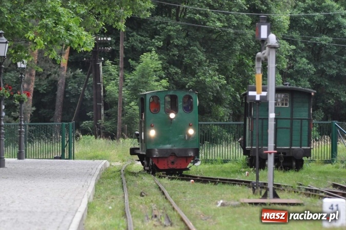 Zdjęcie w galerii na portalu naszraciborz.pl: Industriada 2016 w Rudach. Składy wąskotorówki pełne pasażerów wiadomości z regionu