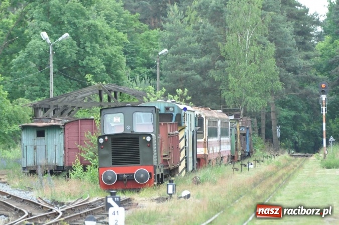 Zdjęcie w galerii na portalu naszraciborz.pl: Industriada 2016 w Rudach. Składy wąskotorówki pełne pasażerów wiadomości z regionu