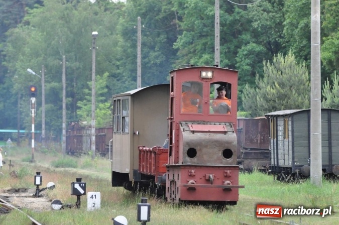 Zdjęcie w galerii na portalu naszraciborz.pl: Industriada 2016 w Rudach. Składy wąskotorówki pełne pasażerów wiadomości z regionu