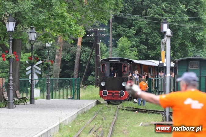 Zdjęcie w galerii na portalu naszraciborz.pl: Industriada 2016 w Rudach. Składy wąskotorówki pełne pasażerów wiadomości z regionu