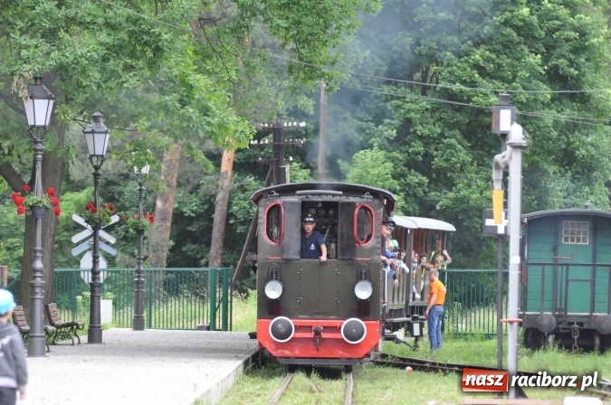 Zdjęcie w galerii na portalu naszraciborz.pl: Industriada 2016 w Rudach. Składy wąskotorówki pełne pasażerów wiadomości z regionu