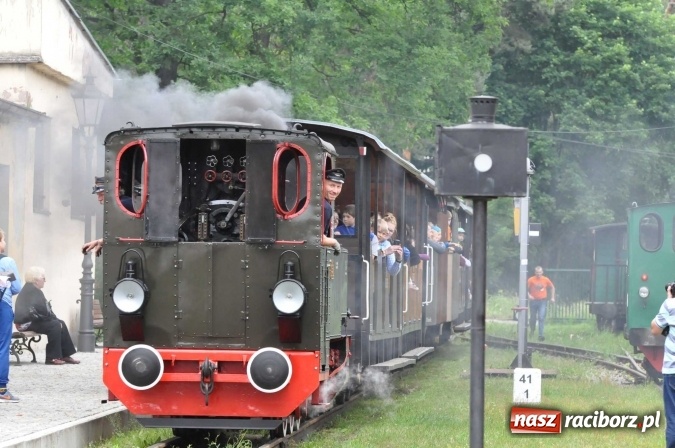 Zdjęcie w galerii na portalu naszraciborz.pl: Industriada 2016 w Rudach. Składy wąskotorówki pełne pasażerów wiadomości z regionu