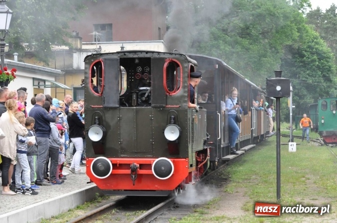 Zdjęcie w galerii na portalu naszraciborz.pl: Industriada 2016 w Rudach. Składy wąskotorówki pełne pasażerów wiadomości z regionu
