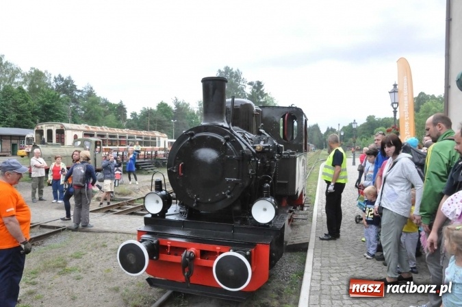 Zdjęcie w galerii na portalu naszraciborz.pl: Industriada 2016 w Rudach. Składy wąskotorówki pełne pasażerów wiadomości z regionu