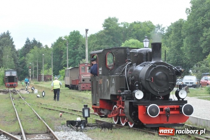 Zdjęcie w galerii na portalu naszraciborz.pl: Industriada 2016 w Rudach. Składy wąskotorówki pełne pasażerów wiadomości z regionu