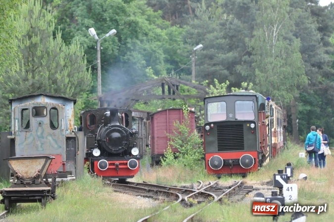 Zdjęcie w galerii na portalu naszraciborz.pl: Industriada 2016 w Rudach. Składy wąskotorówki pełne pasażerów wiadomości z regionu