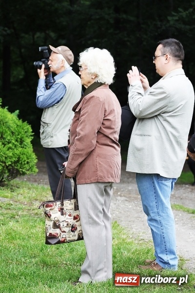 Zdjęcie w galerii na portalu naszraciborz.pl: Jubileusz ponownego odsłonięcia kamienia Eichendorffa w Brzeziu wiadomości z regionu