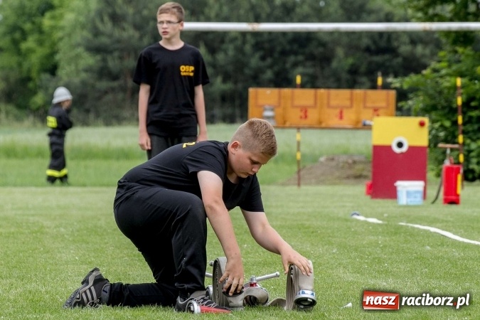 Zdjęcie w galerii na portalu naszraciborz.pl: 85 lat OSP Brzeźnica oraz gminne zawody w Grzegorzowicach wiadomości z regionu