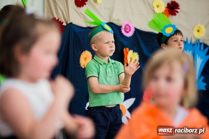 Zdjęcie w galerii na portalu naszraciborz.pl: Festyn rodzinny i Czerwony Kapturek w Studziennej wiadomości z regionu