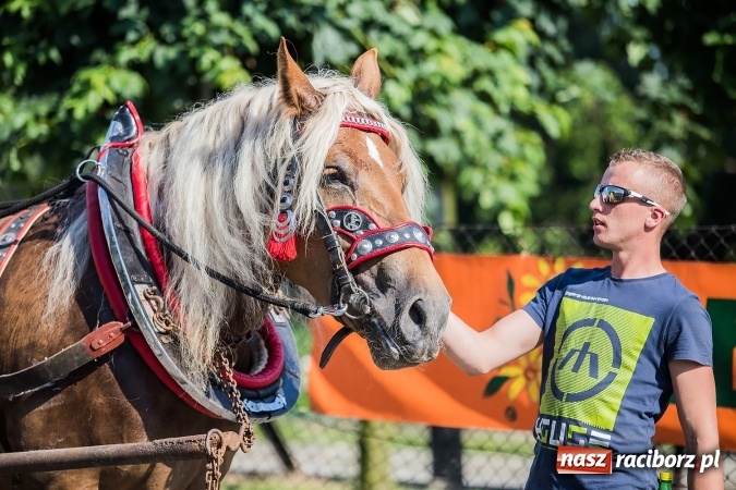 Zdjęcie w galerii na portalu naszraciborz.pl: Bieg o Puchar Burmistrza podczas festynu w Borucinie wiadomości z regionu