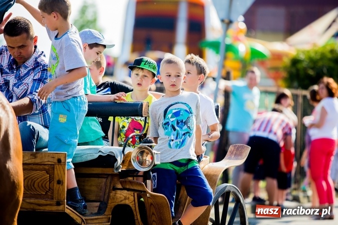 Zdjęcie w galerii na portalu naszraciborz.pl: Bieg o Puchar Burmistrza podczas festynu w Borucinie wiadomości z regionu