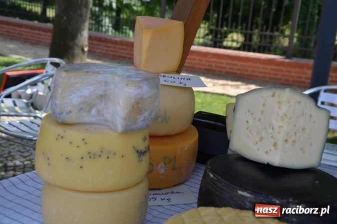 Zdjęcie w galerii na portalu naszraciborz.pl: Czym Nędza bogata! Trzeci rodzinny piknik na Zamku Piastowskim za nami  wiadomości z regionu