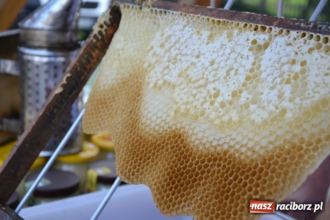 Zdjęcie w galerii na portalu naszraciborz.pl: Czym Nędza bogata! Trzeci rodzinny piknik na Zamku Piastowskim za nami  wiadomości z regionu