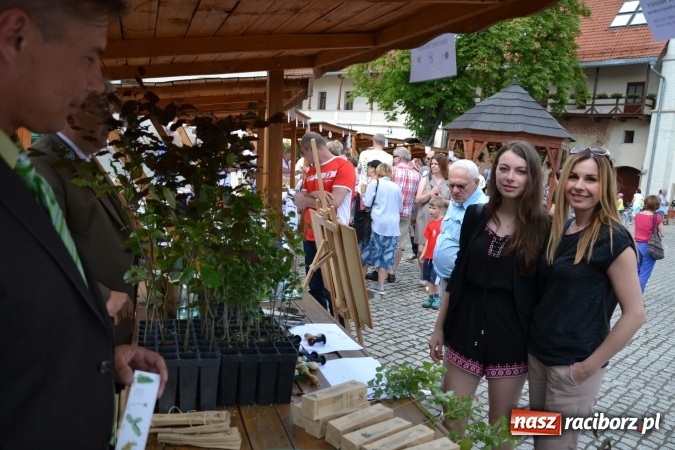 Zdjęcie w galerii na portalu naszraciborz.pl: Czym Nędza bogata! Trzeci rodzinny piknik na Zamku Piastowskim za nami  wiadomości z regionu