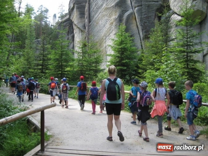 Zdjęcie w galerii na portalu naszraciborz.pl: Uczniowie raciborskich szk&oacute;ł wiedzą coraz więcej o ekologii wiadomości z regionu