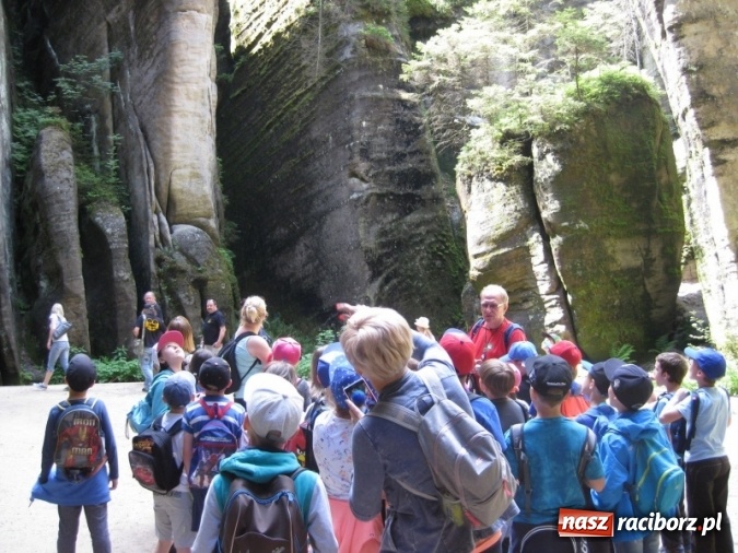 Zdjęcie w galerii na portalu naszraciborz.pl: Uczniowie raciborskich szk&oacute;ł wiedzą coraz więcej o ekologii wiadomości z regionu
