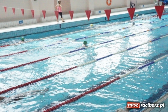 Zdjęcie w galerii na portalu naszraciborz.pl: Uczniowie SP 5 i SP 18 uczą się pływać w ramach budżetu obywatelskiego  wiadomości z regionu