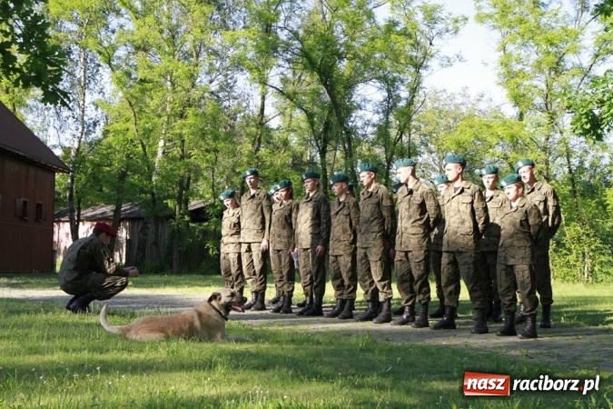 Zdjęcie w galerii na portalu naszraciborz.pl: Mundurowcy z ZSOMS na obozie szkoleniowym  wiadomości z regionu